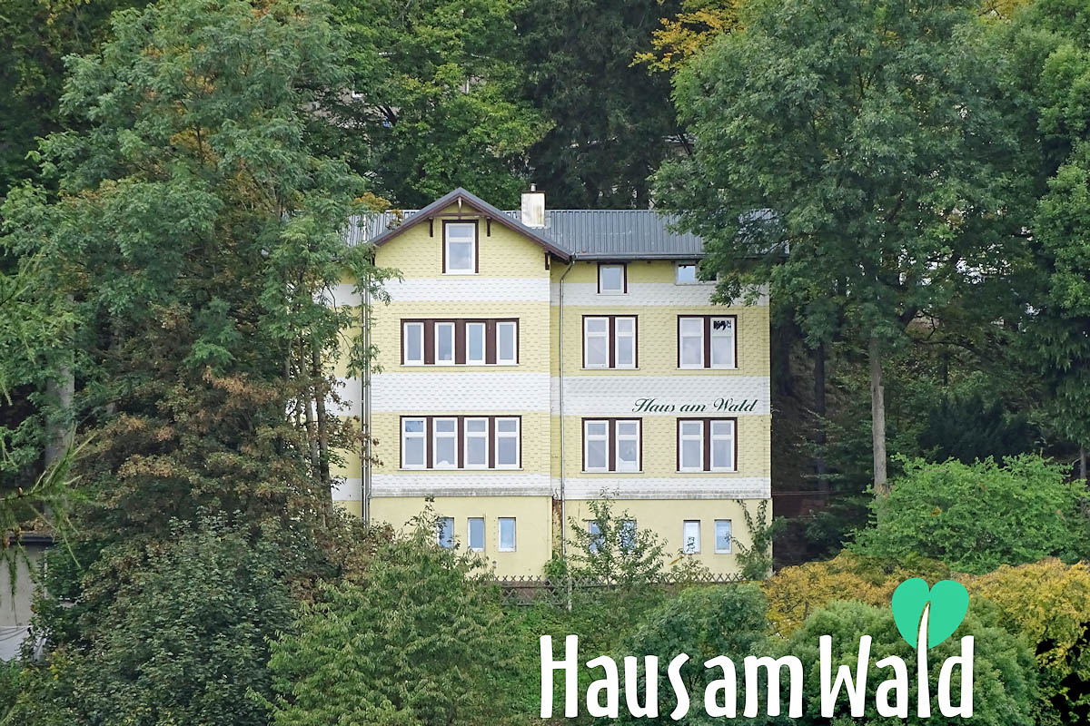 Ferienwohnungen Und Gastehaus Haus Am Wald Friedrichroda Thuringer Wald