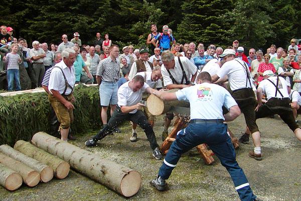 Holzsägewettbewerb beim Bergseefest