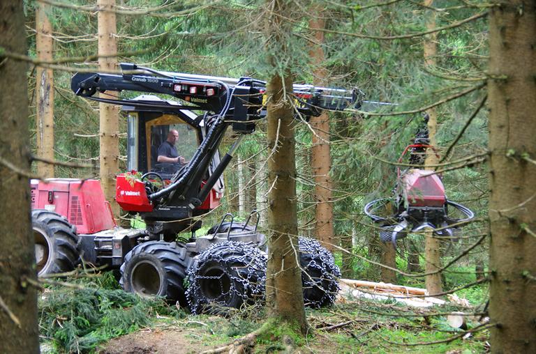 Forstfahrzeug im Thüringer Wald